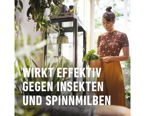 "Frau gießt Zimmerpflanze