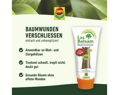 Compo Lac Balsam Wundverschluss zum Verschliessen von Baumwunden