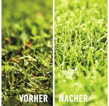 FLORANID® Compo Rasendünger gegen Unkraut und Moos 9kg 300m²-thumb-2