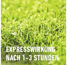 FLORANID® Compo Rasendünger gegen Unkraut und Moos 9kg 300m²-thumb-4