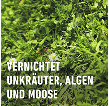 FLORANID® Compo Rasendünger gegen Unkraut und Moos 9kg 300m²-thumb-5