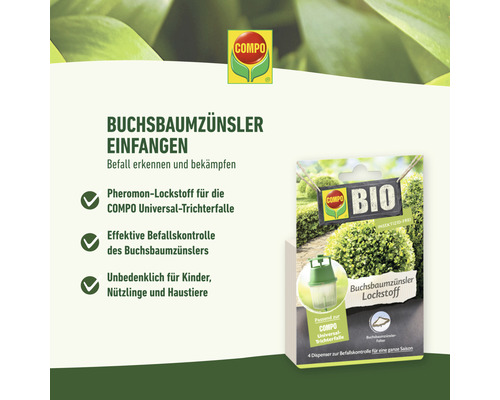 Compo Buchsbaumzünsler Lockstoff zur Schädlingsbekämpfung
