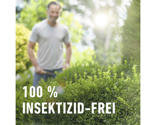 "Ein Mann schneidet eine Hecke