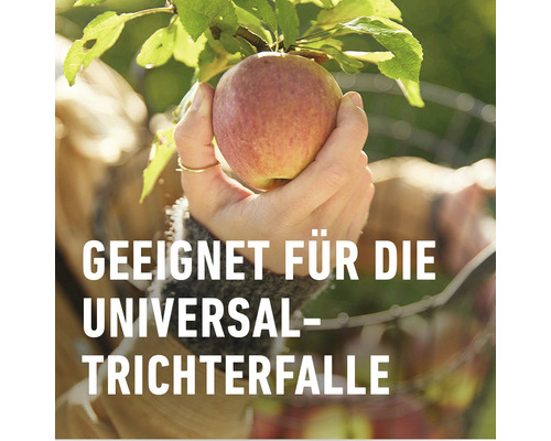 Apfel am Baum in der Hand, geeignet für die Universal Trichterfalle