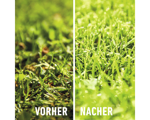 Vorher Nachher Vergleich von Rasen