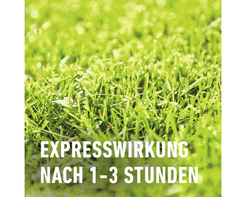 Gras mit der Angabe Expresswirkung nach 1 bis 3 Stunden