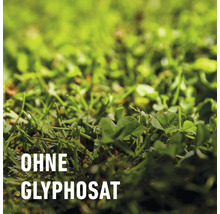 Rasen mit dem Hinweis: Ohne Glyphosat