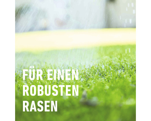 Nahaufnahme von Rasen mit der Aufschrift Für einen robusten Rasen