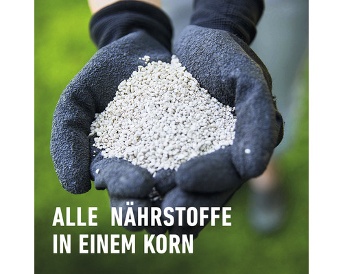 Eine Person hält Rasendünger in den Händen