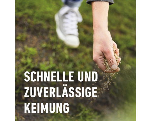 Eine Hand sät Rasensamen auf einer Rasenfläche.