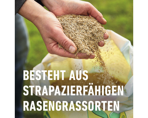 Person hält Rasensamen über einem Beutel mit der Aufschrift ''Besteht aus strapazierfähigen Rasengrassorten''.