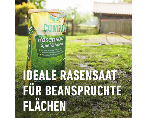 Sack mit Rasensamen Spiel und Sport auf einer Rasenfläche