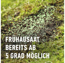 Frühsaat auf Erde mit Gras
