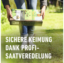 Eine Person hält eine Packung Rasensamen der Marke Compo Saat vor einem Rasen.