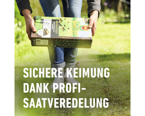 Eine Person hält eine Packung Rasensamen der Marke Compo Saat vor einem Rasen.