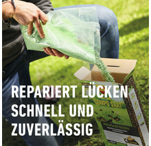 Nachsaat-Rasen wird aus einer Tüte in einen Karton gefüllt.