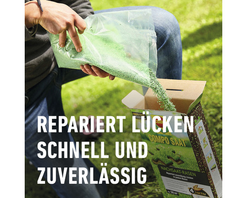 Nachsaat-Rasen wird aus einer Tüte in einen Karton gefüllt.