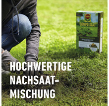 Person sät mit einer hochwertigen Nachsaat-Mischung Rasensamen. Im Hintergrund steht eine Packung Compo Saat.