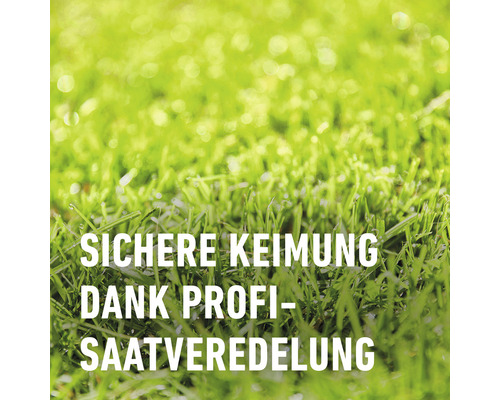 Sichere Keimung dank Profi-Saatveredelung
