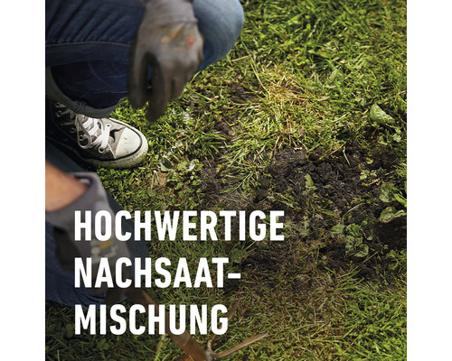 Nachsaat einer Rasenfläche mit hochwertiger Nachsaat-Mischung