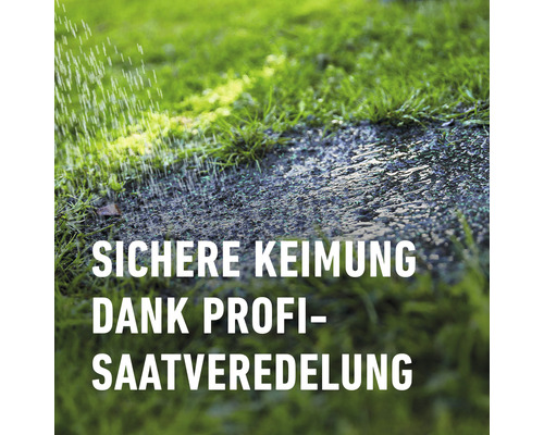 Bewässerung von Rasen für sichere Keimung durch professionelle Saatveredelung.