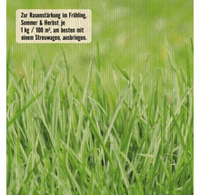 Nahaufnahme von Rasen zur Rasenstärkung im Frühling, Sommer und Herbst.