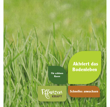 Informationen zur Aktivierung des Bodenlebens für schnelles Anwachsen und schönen Rasen