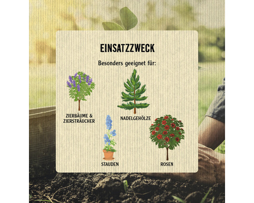 Informationen zur Verwendung mit Zierbäumen, Ziersträuchern, Nadelhölzern, Stauden und Rosen