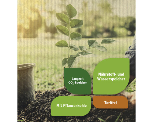 Symbolbild: Pflanze wird in torffreie Erde gesetzt mit Hinweisen zu Langzeit Co2-Speicher, Nährstoff- und Wasserspeicher und Pflanzenkohle.