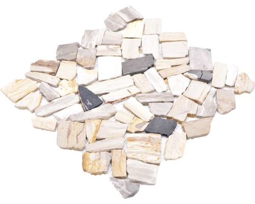 Mosaikfliesen aus versteinertem Holz