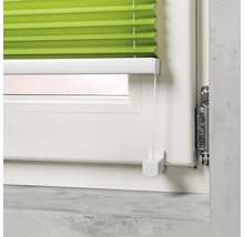 Grüne Fensterplissee-Jalousie am Fenster