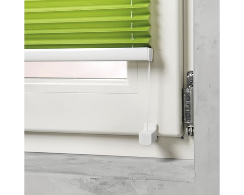 Grüne Fensterplissee-Jalousie am Fenster