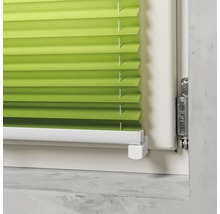 Grüne Faltjalousie am Fenster