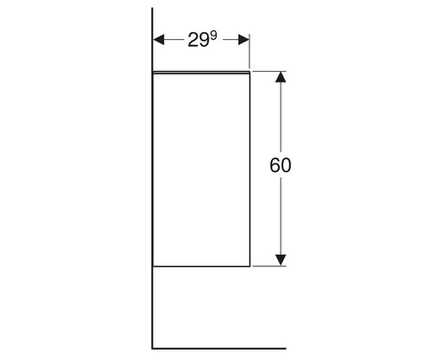 Technische Zeichnung eines Badezimmerschranks mit den Maßen 299 mal 60 Zentimeter.
