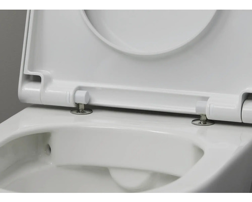 Detailansicht eines weißen Toilettensitzes mit geöffnetem Deckel