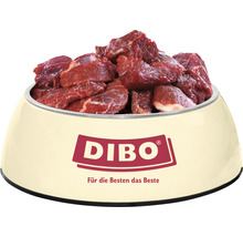 Gefüllter Hundenapf mit Dibo Logo für die beste Ernährung