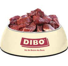 Futternapf gefüllt mit rohem Hundefutter von Dibo