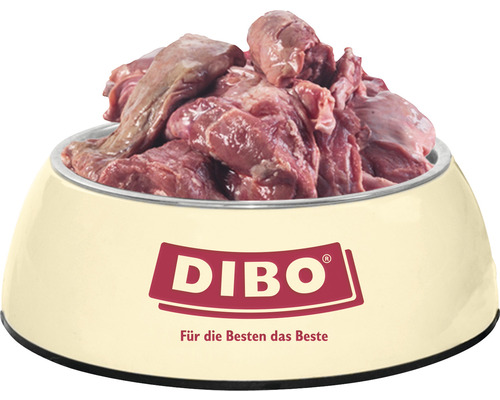 Hundenapf gefüllt mit rohem Fleisch, Dibo Logo
