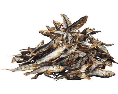 Stapel getrockneter Fische