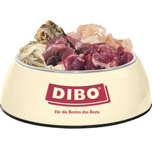 Gefüllter Hundenapf mit Dibo Logo