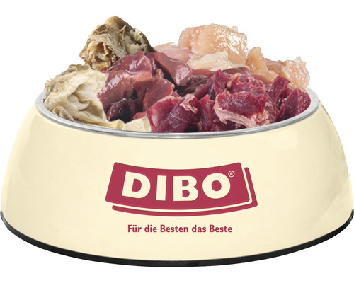 Gefüllter Hundenapf mit Dibo Logo