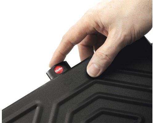 Hand betätigt Hailo Logo auf einer Leiter