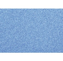 Filterschaum PAPILLON fein 100x100x5 cm blau