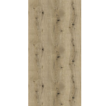 PICCANTE Küchenarbeitsplatte K365 Coast Evoke Oak 3-seitig bekantet, inkl. 2 zusätzlicher Dekorkanten, kartonverpackt 2460x635x40 mm-thumb-4