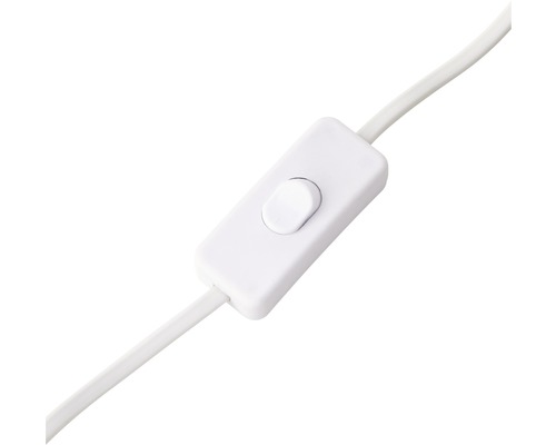 Schalter an einer elektrischen Leitung