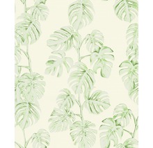 Tapete mit Monstera Blatt Muster