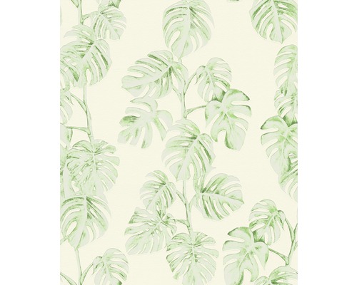 Tapete mit Monstera Blatt Muster