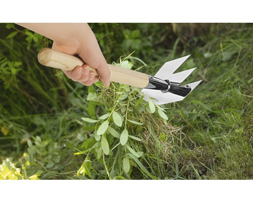 Hand mit Unkrautstecher und Holgriff entfernt Unkraut