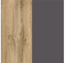 Held Möbel Backofen/Kühlumbauschrank für 88er Einbaukühlschrank PISA BxTxH 60 x 60 x 166 cm grau matt zerlegt Anschlag reversibel 449.6311