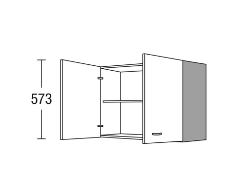 Wandhängeschrank mit zwei Türen und zwei Regalböden
